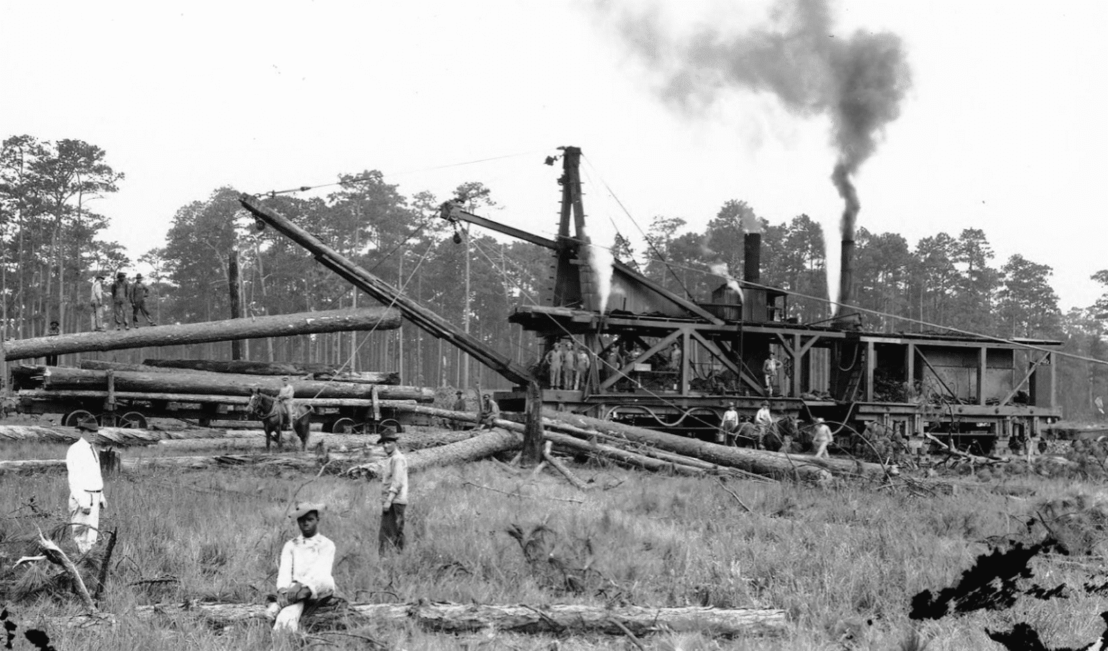 Tammany Family With Sawmills Came Prosperity
