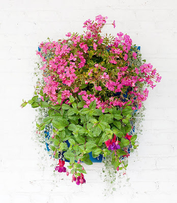 Jardines Verticales para el interior y exterior de tu casa | Cocinas