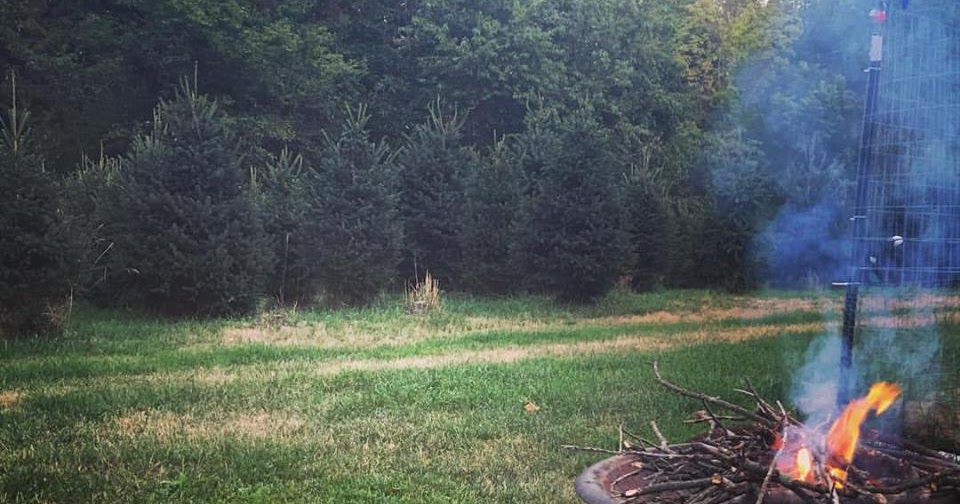 Hazen Tree Farm Testing