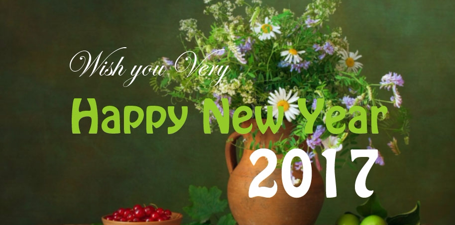 Happy new year 2017 Happy New Year 2017