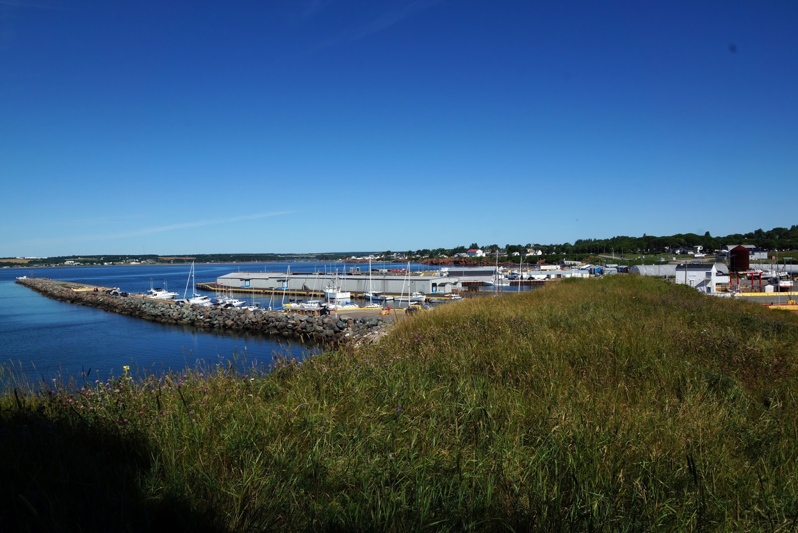 Veils of Kali's Myst Day 3 Panmure Island Provincial Park