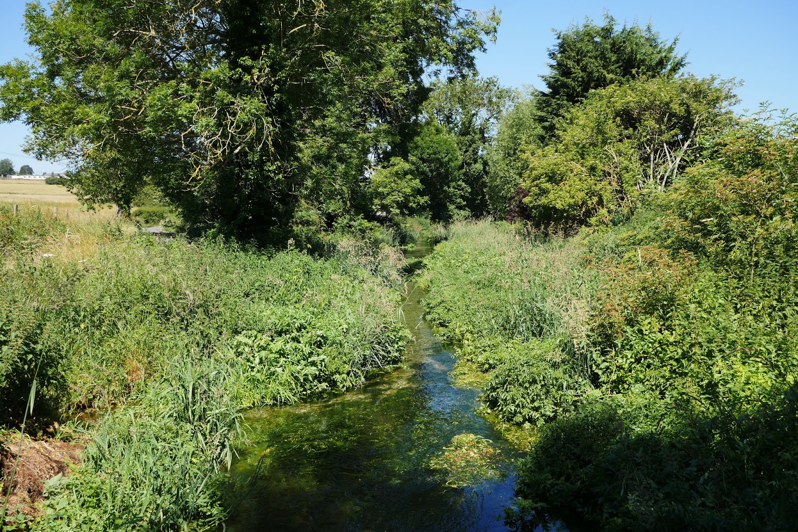 Walking in the country Lambourn to Welford (Lambourn Valley Way 2)