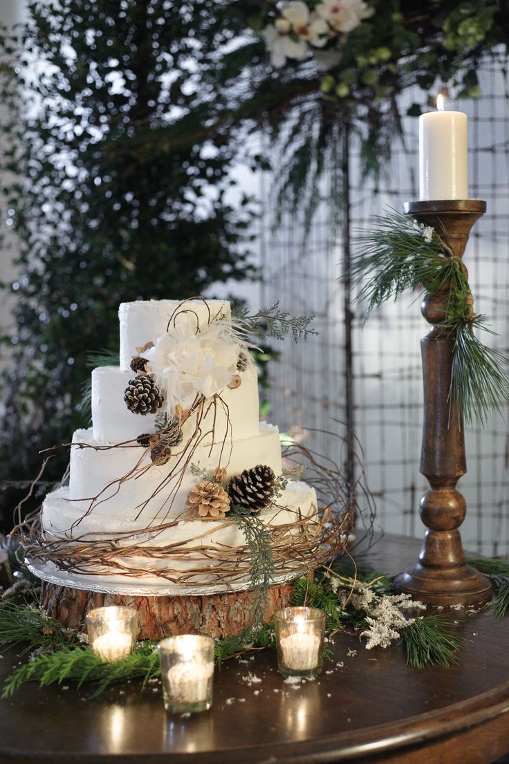 Beautiful Bridal 10 Winter Wedding Cake Ideas Rustic And Romantic beautiful-bridal-10-winter-wedding-cake-ideas-rustic-and-romantic