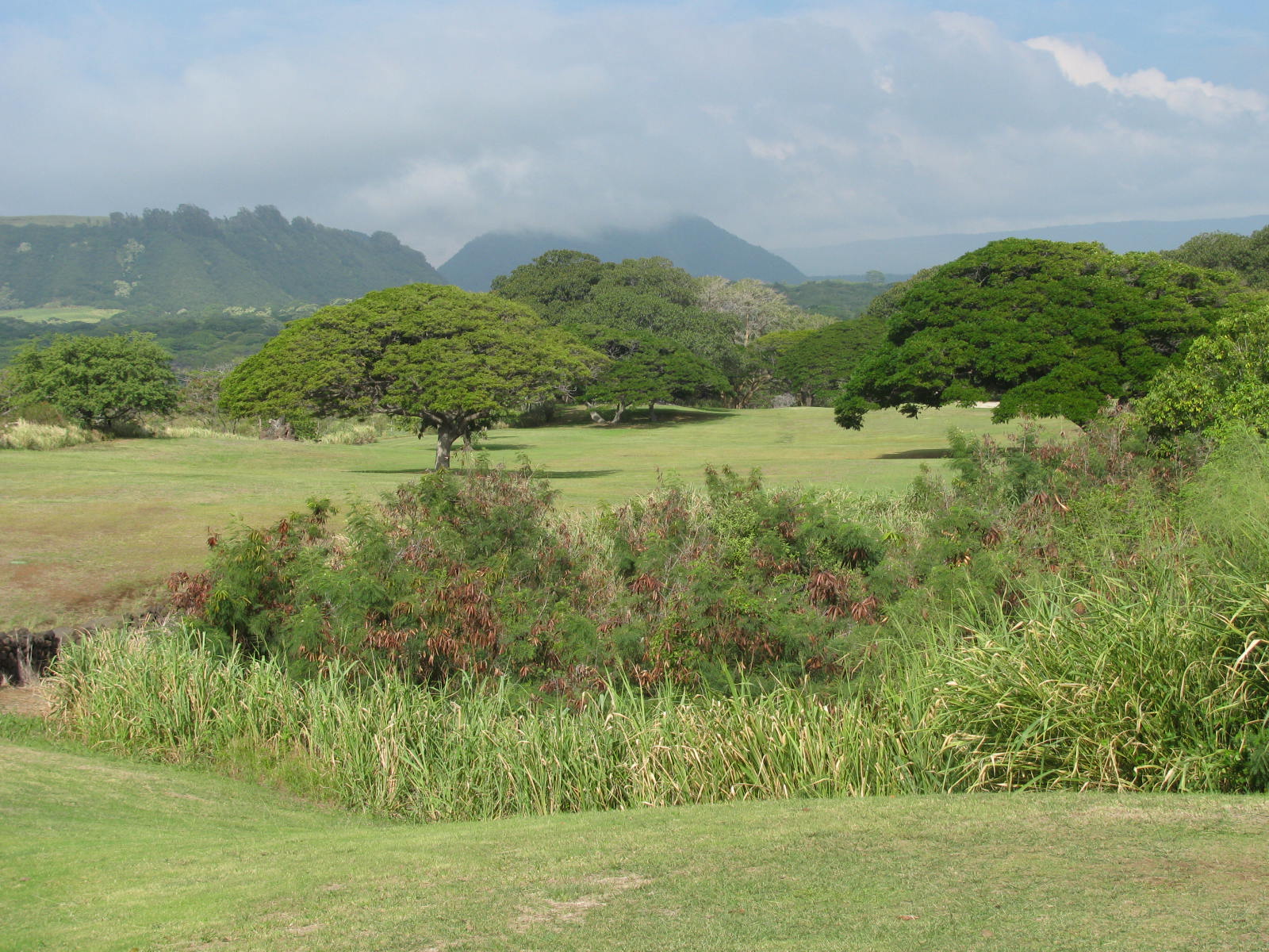 My Slice of Golf (John B) Sea Mountain Resort, Punaluu Big island Hawaii