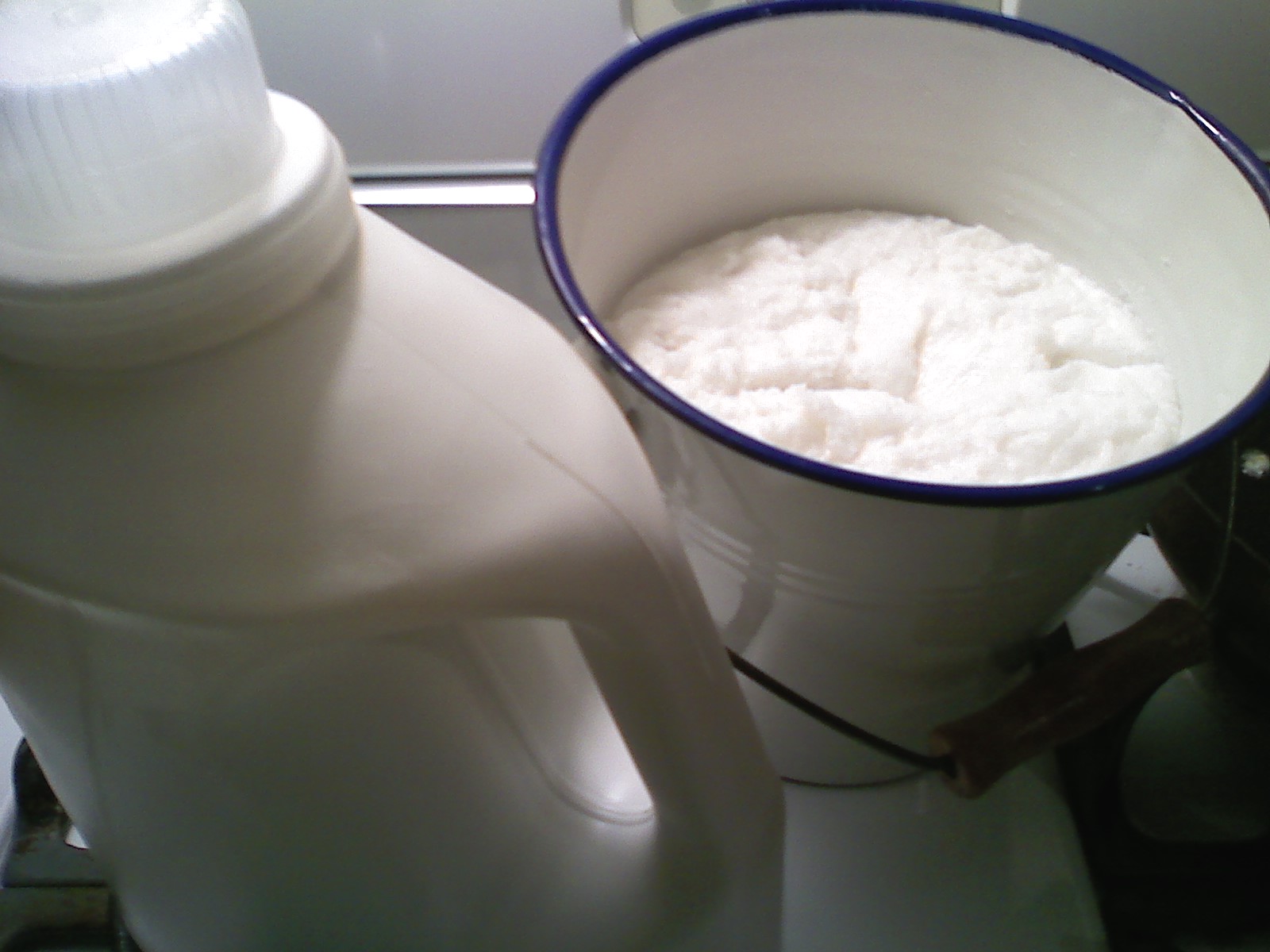 The Luminous Residence and the Edible Universe Homemade CitrusOrange