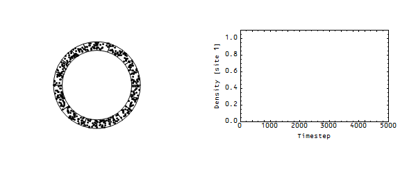 roundaboutsite1time.gif