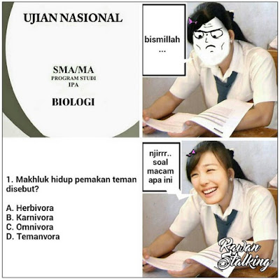 ini baru bingung yang sebenarnya