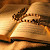 Keistimewaan Membaca Al Quran Surat Al Mulk yang Luar Biasa, 