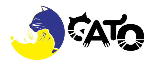 O gato