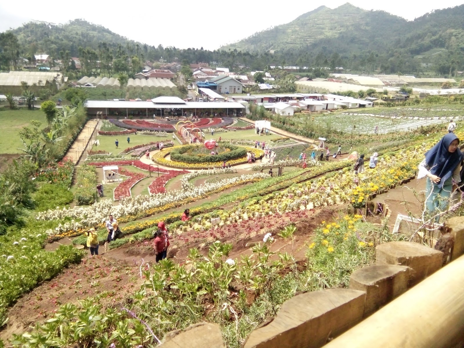 Catatan Perajalanan Menikmati Keindahan Kutabawa Flower Garden