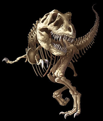Les dinosaures envahissent Paris T-Rex Skeleton - Dinosaure squelette