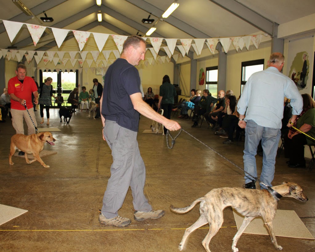 Dogs Trust Darlington's 20th Anniversary