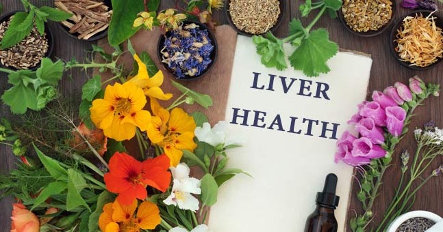 5 Herbs That Work To Benefit Your Liver Health