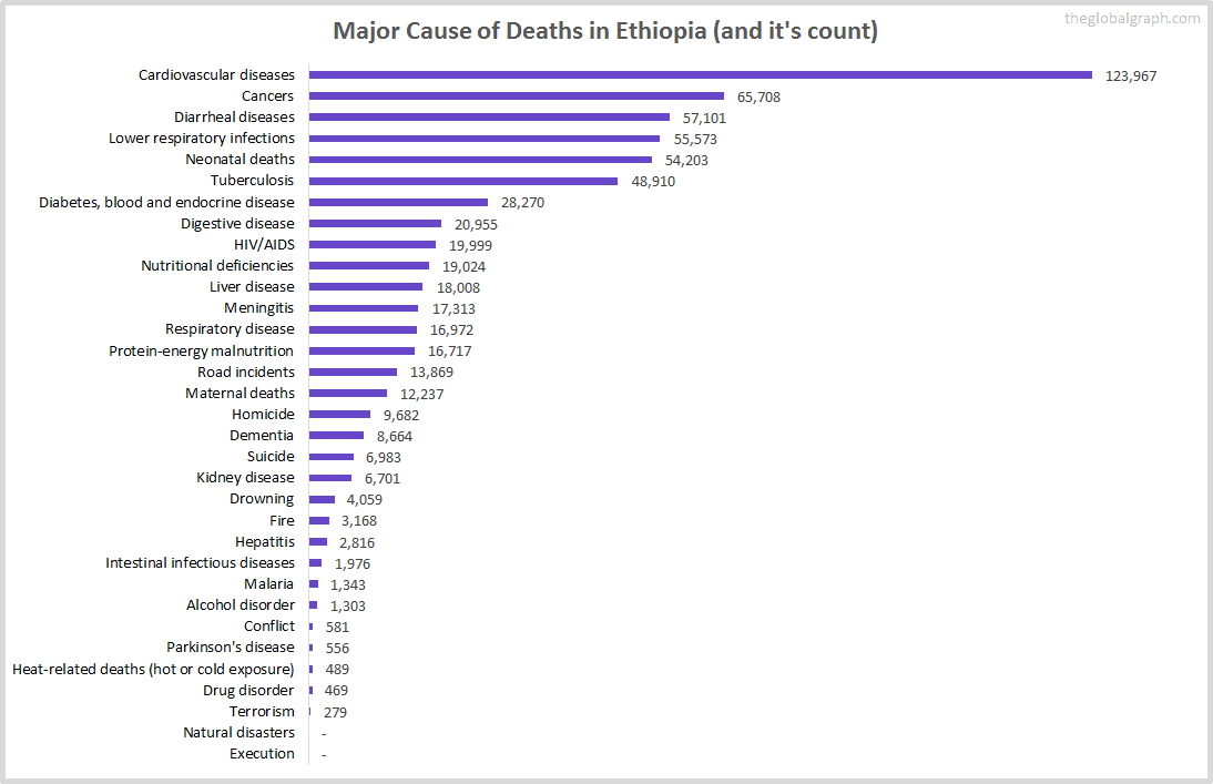 Major Cause of Deaths in Ethiopia (and it's count)