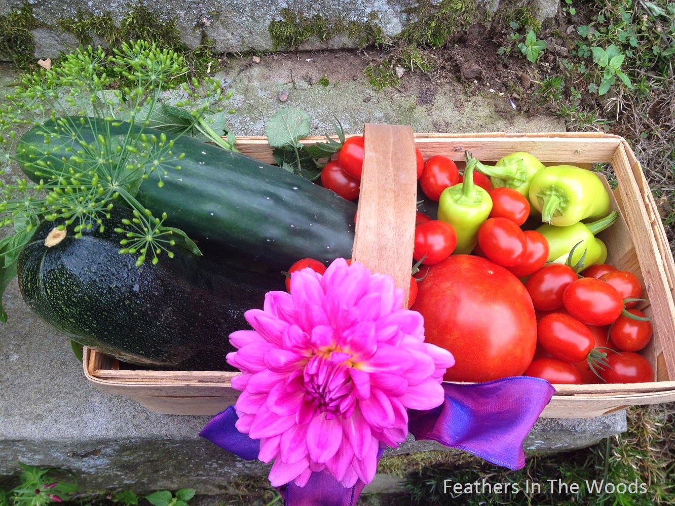 What should you plant in your garden? Feathers in the woods