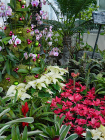 Orchid Christmas tree Allan Gardens Conservatory Christmas Flower Show 2014 by garden muses-not another Toronto gardening blog