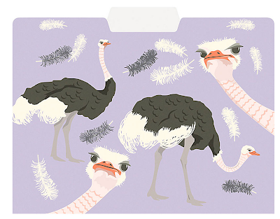 file folder with ostriches