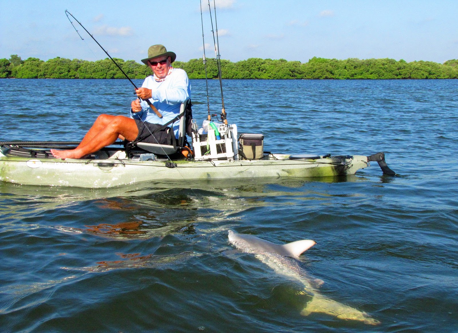 Southern Kayak Kronicles Shark fishing has been hot on Tampa Bay