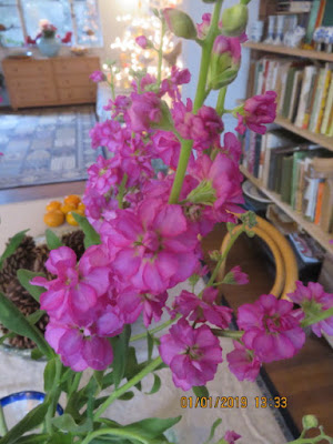 My Virtual Maryland Garden