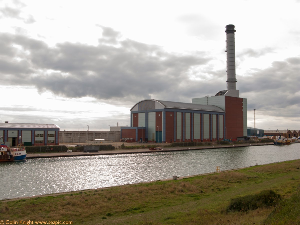 Postcards from Sussex Last chance of a Longtailed blue?
