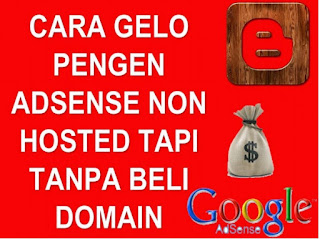Adsense Tanpa Domain TLD: Panduan Lengkap untuk Pemula
