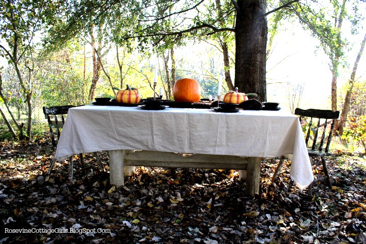 Beautiful Country Thanksgiving Table Decorations