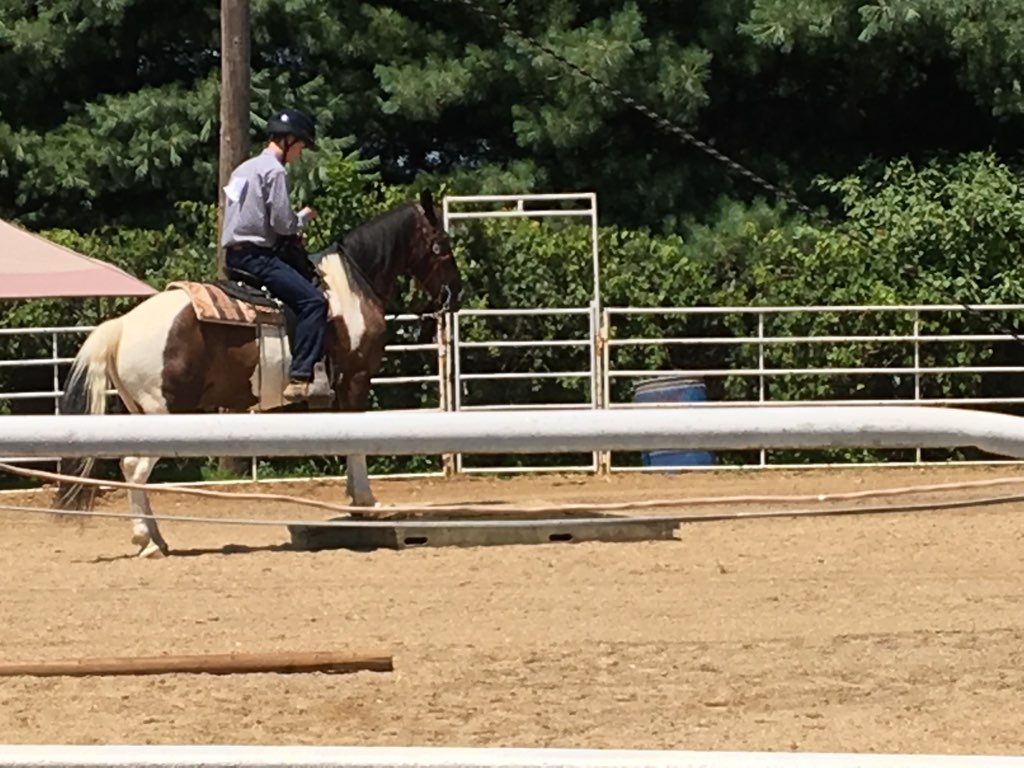 What I Learned about CI from Horsemanship