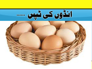 Eggs Benefits In urdu And Hindi Tips Must Watch - Health Plus Beauty