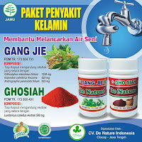 Obat Alami Gonore Pria Daerah Bitar