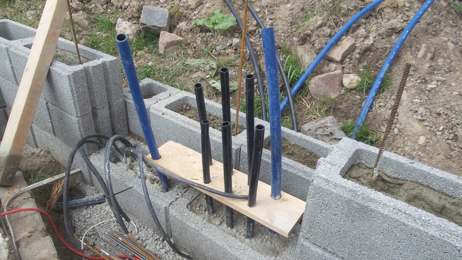 Ein Haus Fur Mensch Hund Katze Und Maus April 2016