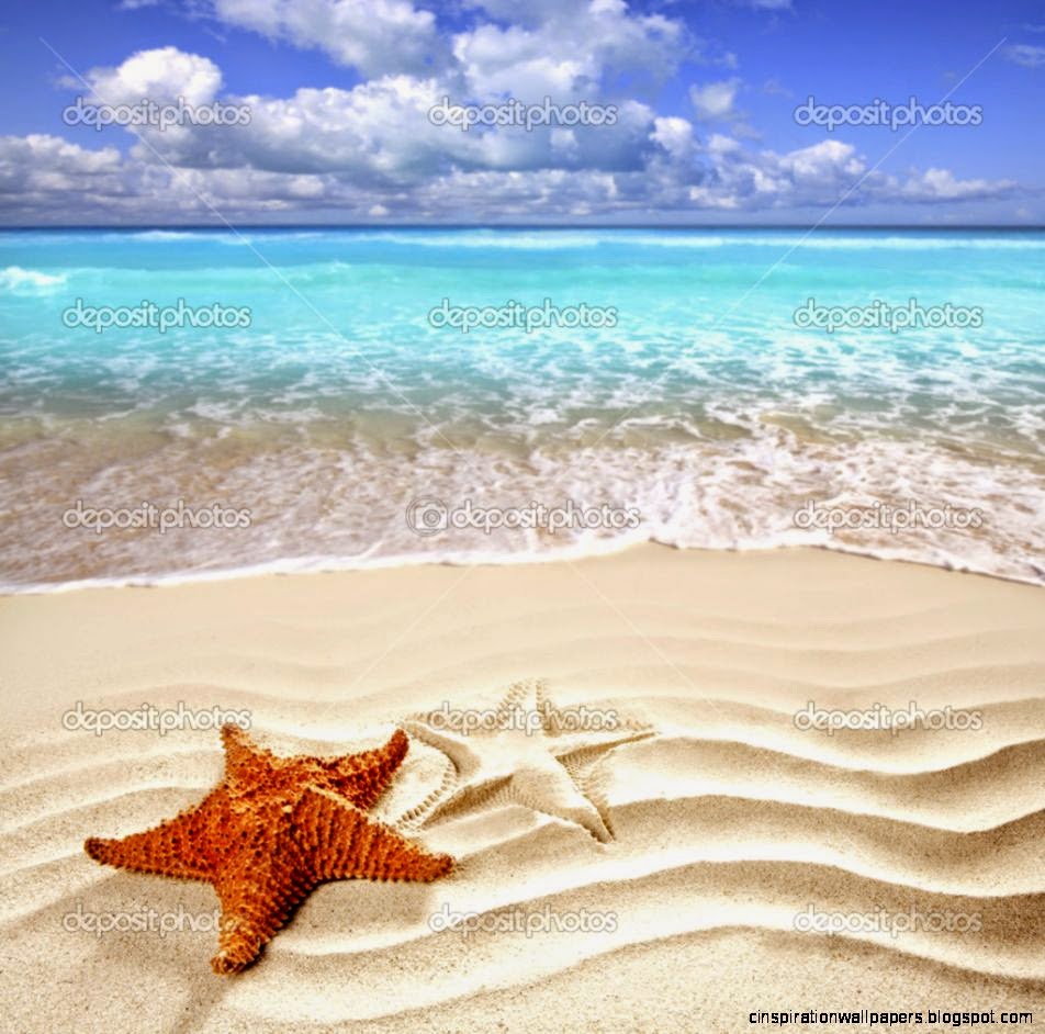 Caribbean tropical beach white sand starfish shell — Stock Photo
