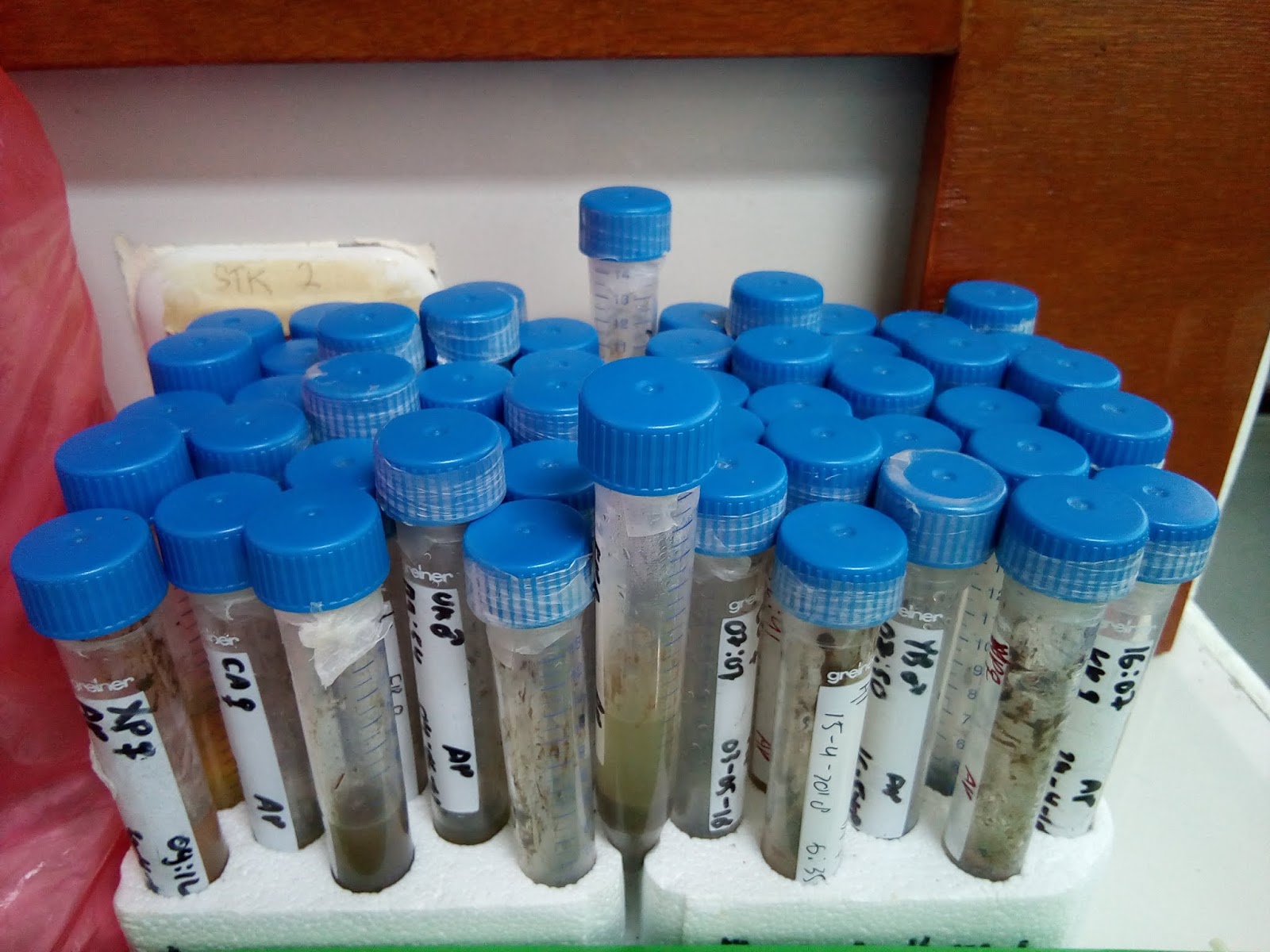 Kirsty Emma Graham What’s in that monkey poop? (and how do we find out?)