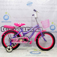 12 wimcycle light ctb sepeda anak