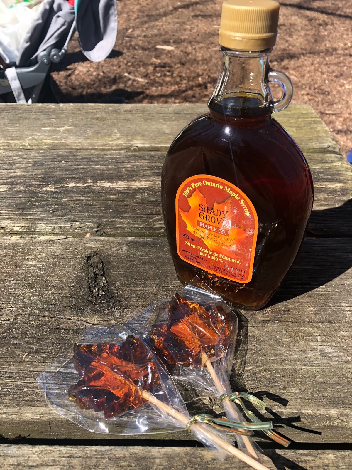 Canadian maple syruppioneer and modern way of making maple syrup with
