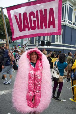Bluegrass Pundit Strange Code Pink Looking For Vagina Suits And Artwork For Rnc Convention
