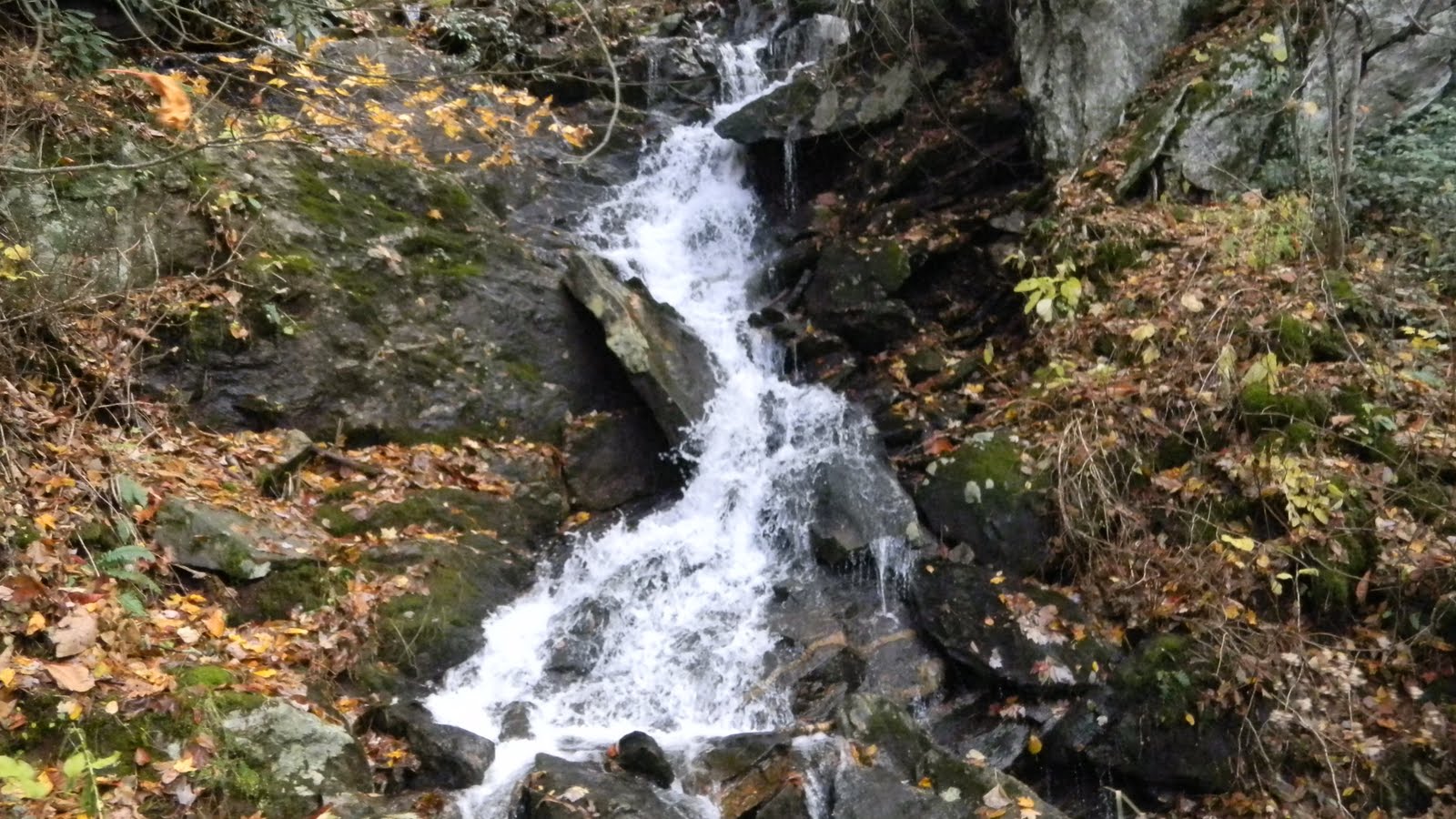 Picture Perfect Mountain Springs