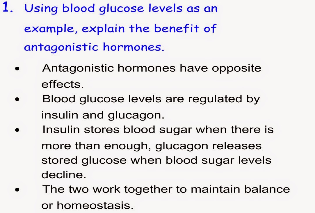 Biology links: Endocrine System Questions and Answers