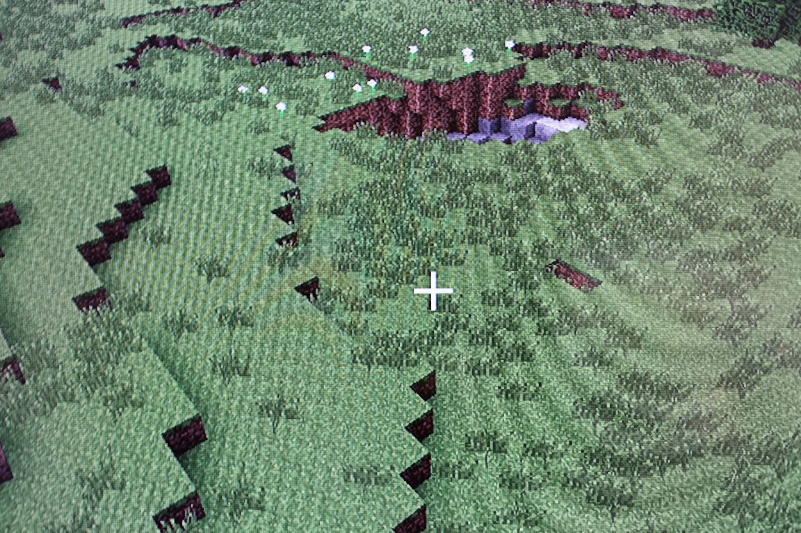 Dude Baby Girl Minecraft Biomes