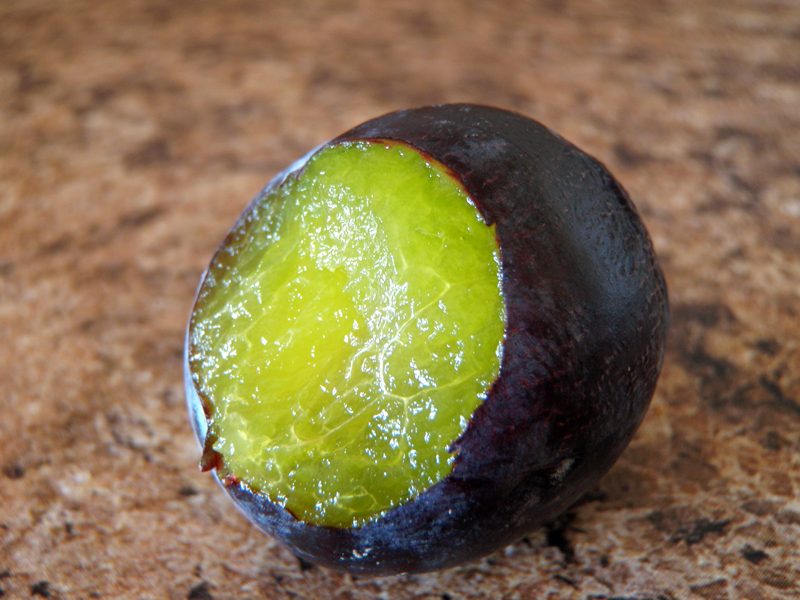 The Healing Kitchen Plums and Prunes