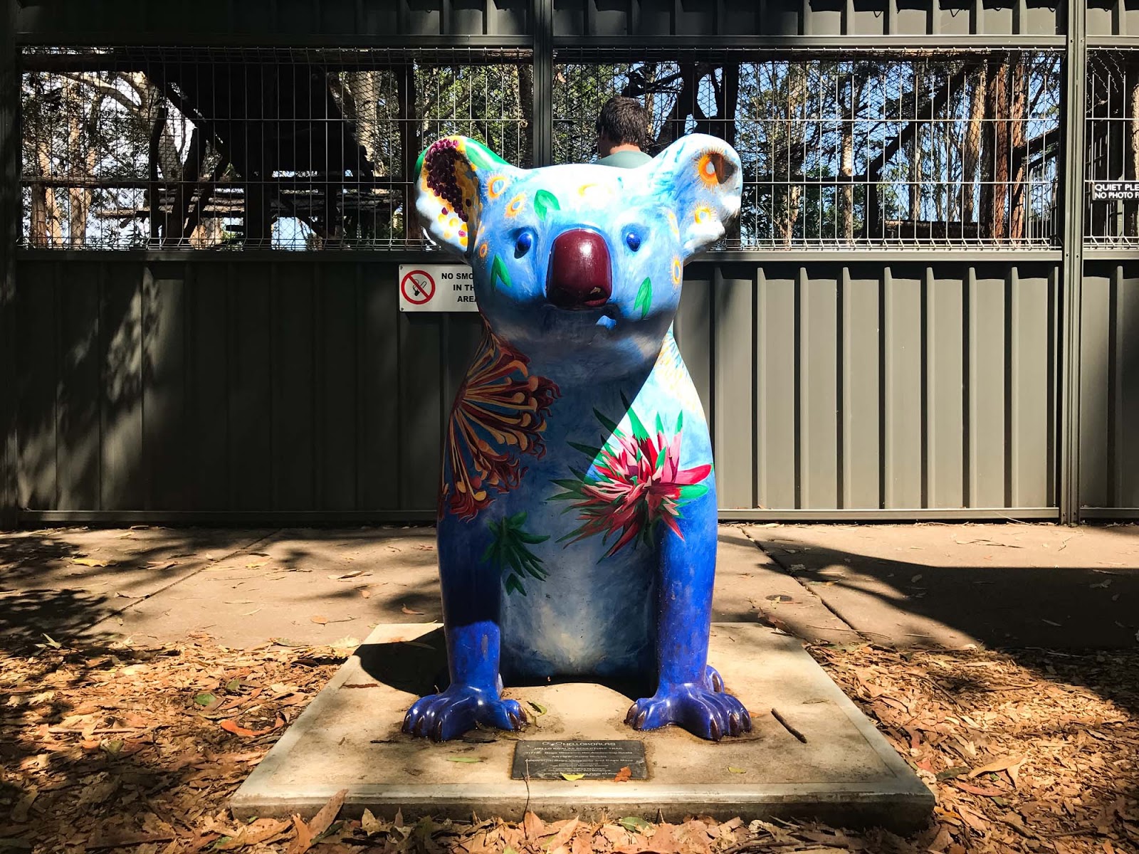 hello koalas sculpture trail port macquarie