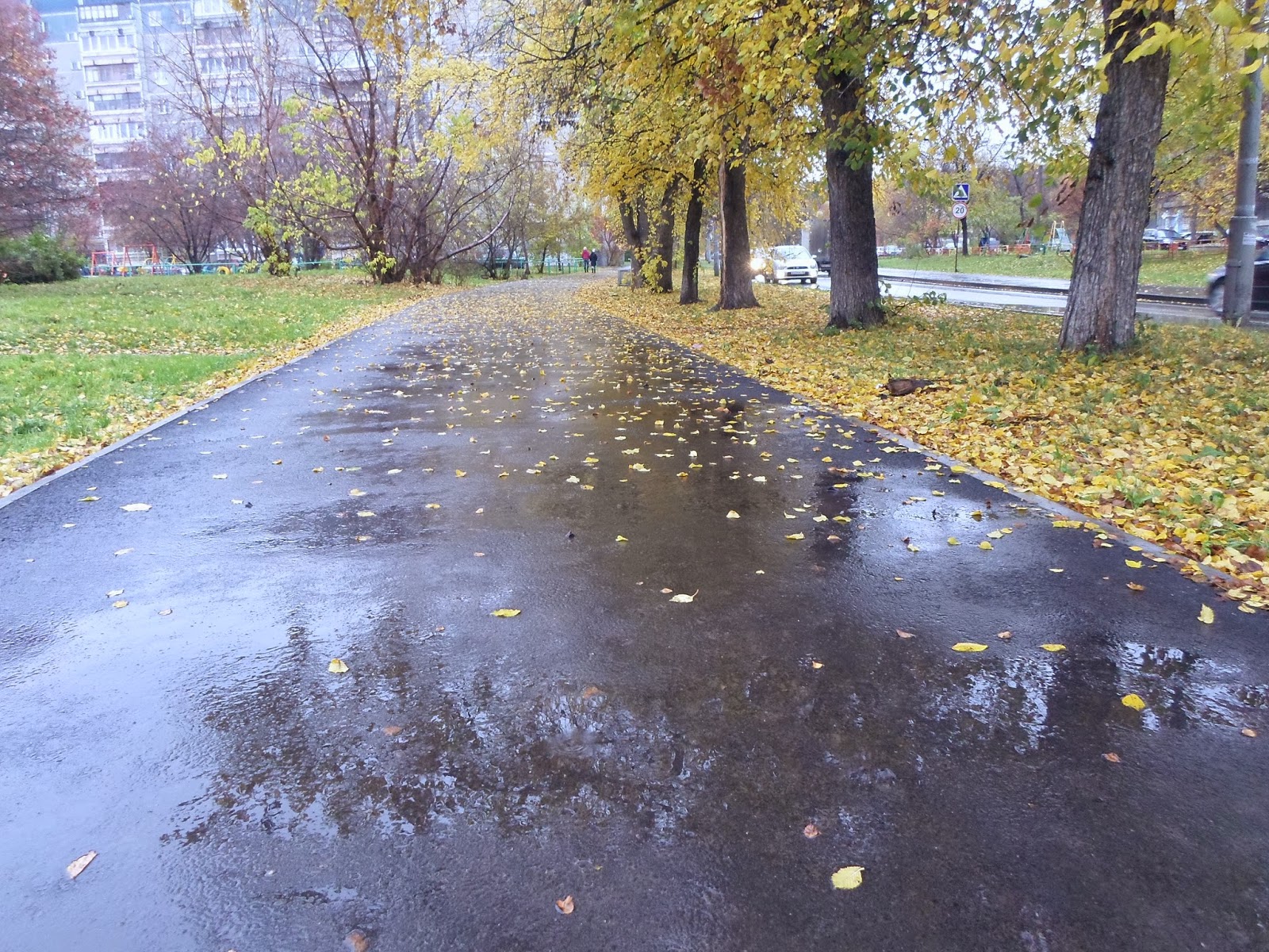 перепадали частые дожди