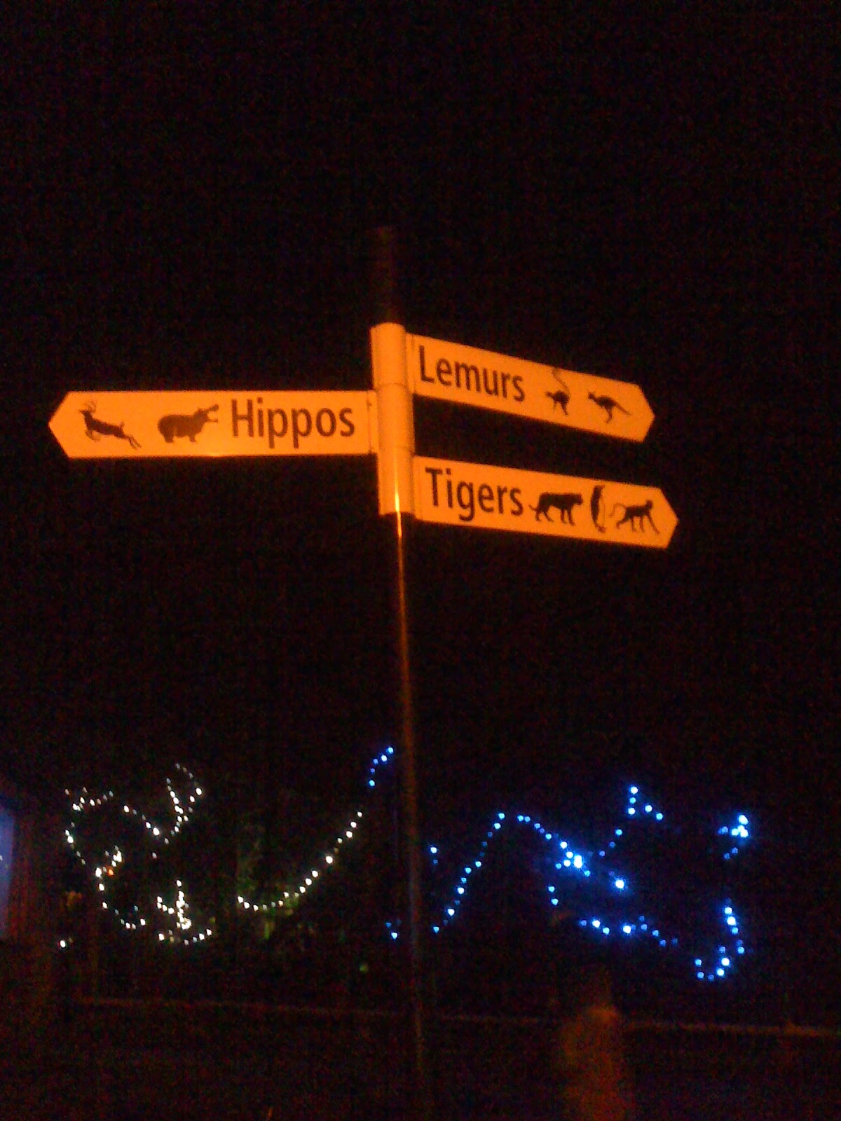 Lakes Single Mum: Christmas at South Lakes Wild Animal Park