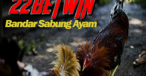 Agen Penyedia Sabung Ayam Terbaik Bandar Togel Resmi