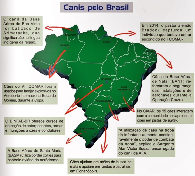 Caes De Guerra [Brazil]