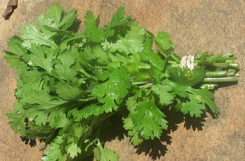 Kitchen Witch Blog The Power of Parsley