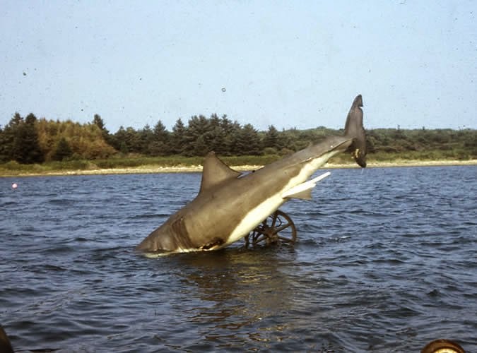 Amazing behind the scenes photos from the making of the film Jaws 1975 - 63