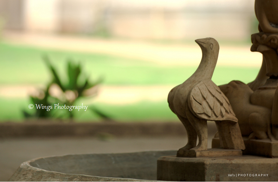 Wings Photography Album 6 Chowmahalla palace and Charminar, Hyderabad