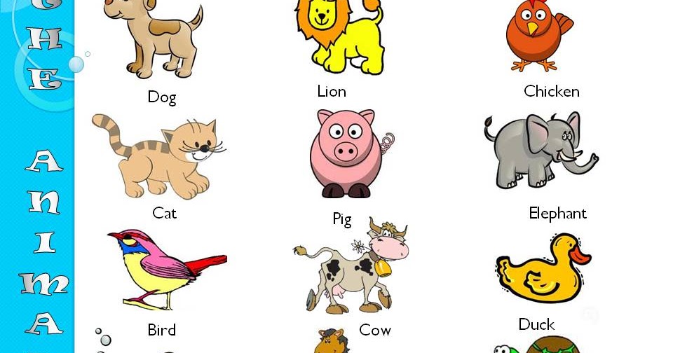 Животные на английском картинки распечатать