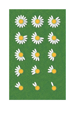 playing he loves me he loves me not with daisies