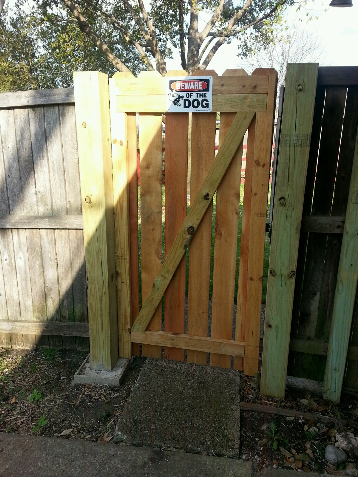 Black Dog Technologies Z Gate Update